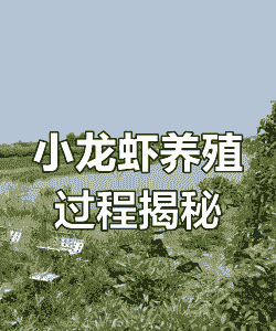 湖北养殖龙虾怎么补助