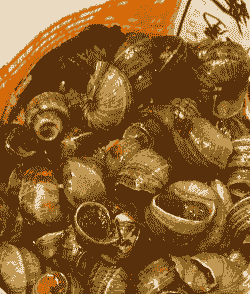 麻辣大田螺怎么养殖