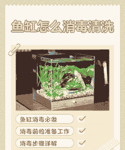 家庭养殖怎么消毒的