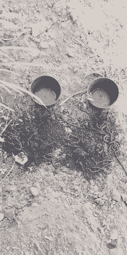 蚯蚓养殖占地怎么赔偿