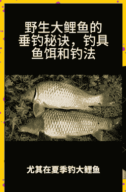 养殖水库鲤鱼怎么钓好