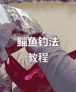 养殖的鮰鱼怎么钓