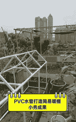 养殖大棚水管怎么装修