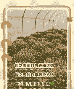 殇之雪怎么养殖