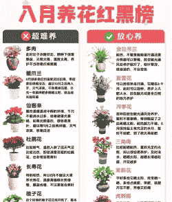 家庭养殖花卉怎么管理