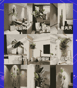 别墅绿植怎么养殖