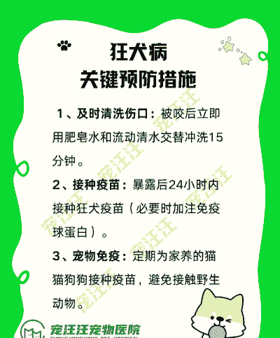 养殖狗怎么防疫的