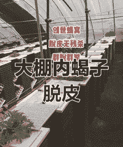 养殖蝎子大棚怎么建立