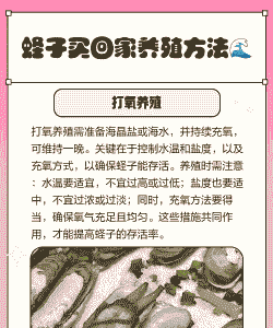 大蛏子怎么养殖技术