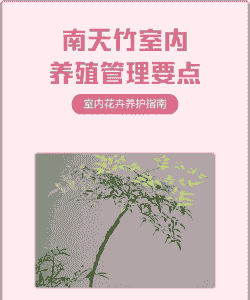 室内养殖怎么管理才好