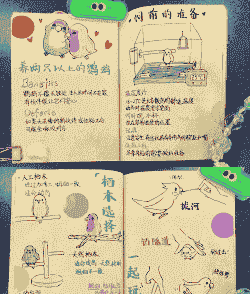 鹦鹉养殖总结怎么写