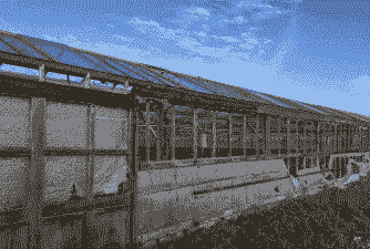 今年怎么养殖肉鸽大棚