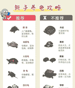 怎么挑选深水乌龟养殖