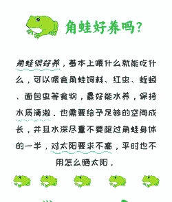 青蛙怎么养殖才能赚钱