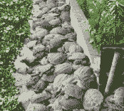 鱼塘怎么养殖乌龟鱼