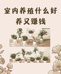 室内养殖怎么投资挣钱