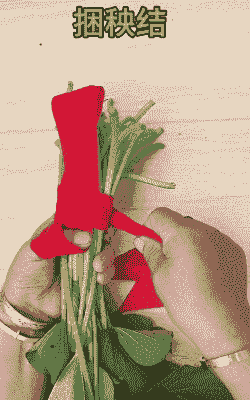 水稻打捆的方法和注意事项