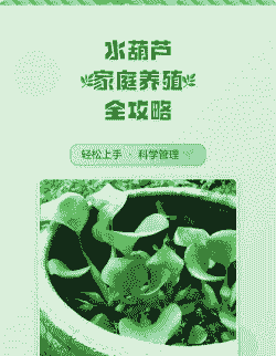 家中水葫芦怎么养殖