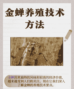 金蝉怎么养殖金蝉人工养殖技术