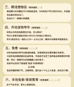 养殖兔子怎么买保险