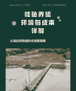 养殖桂花鱼怎么养