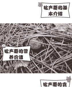 松产蘑怎么养殖