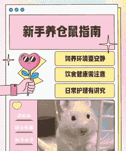 自动养殖仓鼠怎么养