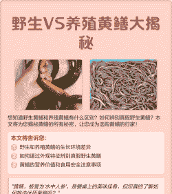 野生黄鳝怎么养殖