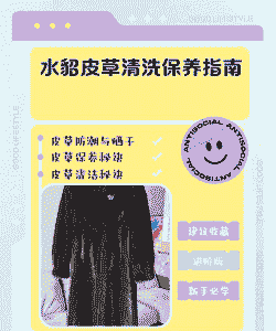 养殖貂怎么消毒好