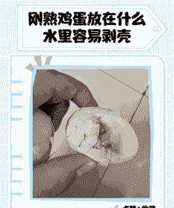 鸡蛋怎么放在水里养殖