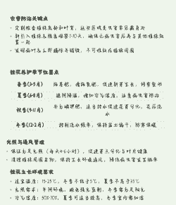 桂花发芽了怎么养殖