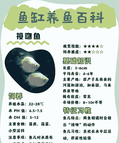 水产养殖亲本怎么区分