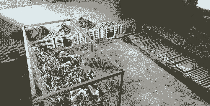 兔子养殖土地怎么处理