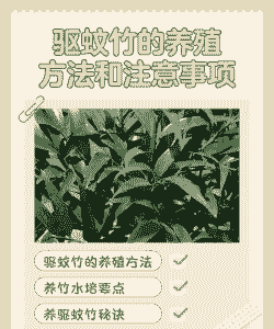 怎么养殖蚊虫害虫