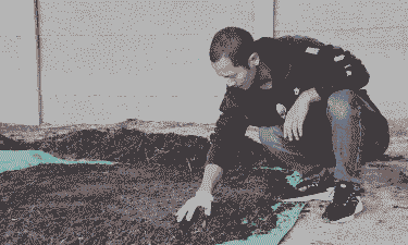 田里养殖蚯蚓怎么铺床