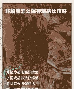 养殖海鲜怎么保鲜好