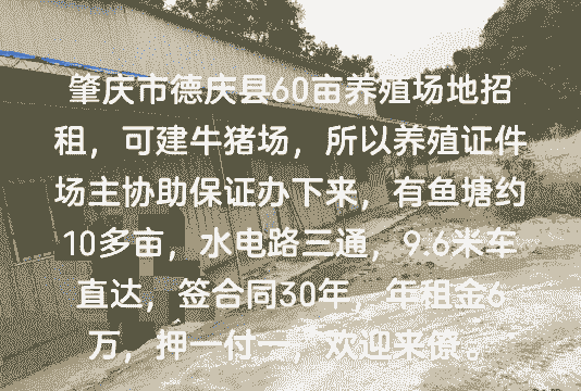 养殖公司怎么经营的