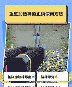 鱼池养殖怎么加热的