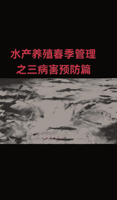 水产养殖春季怎么预防
