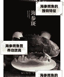 海参斑鱼怎么人工养殖