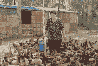 农村养殖大户怎么发展