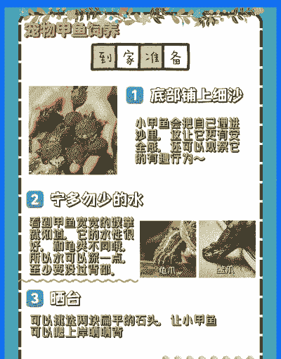 甲鱼放家怎么养殖