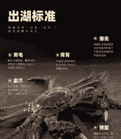 做生意大闸蟹怎么养殖