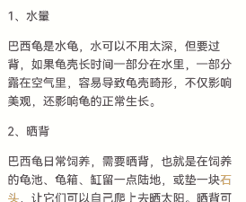 养殖黑龟怎么养