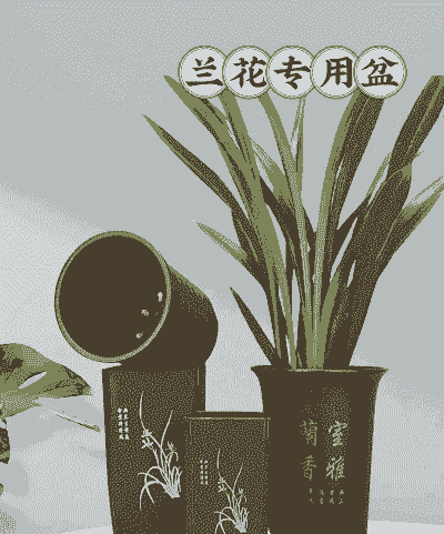兰花要用什么花盆 兰花要用什么花盆