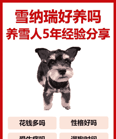 东北小狗冬天怎么养殖