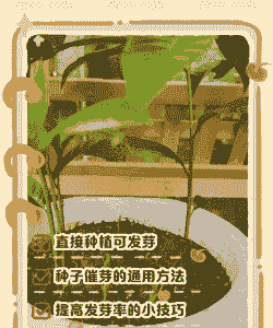 果树发芽后怎么养殖