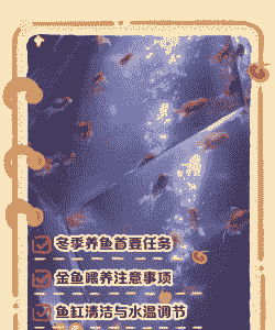 冬季家里怎么养殖金鱼