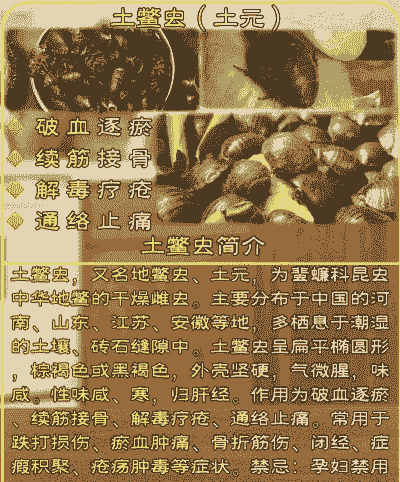 土元怎么养殖吃什么