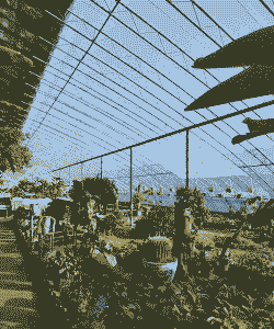 养殖大棚怎么搭配好看